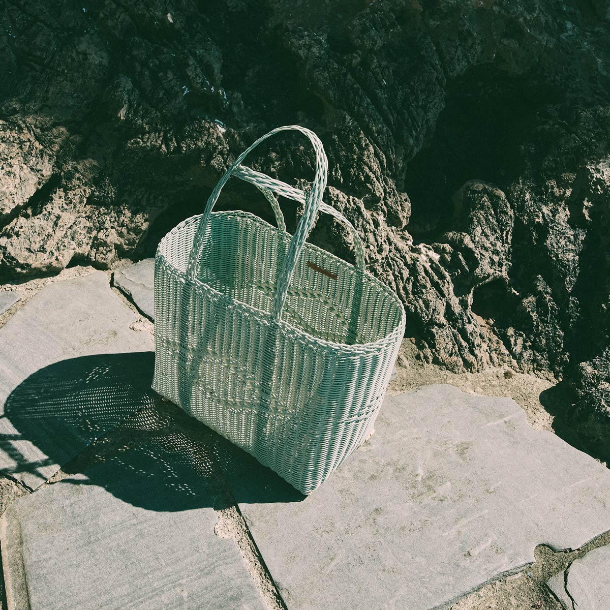 Basic Medium Eucalyptus