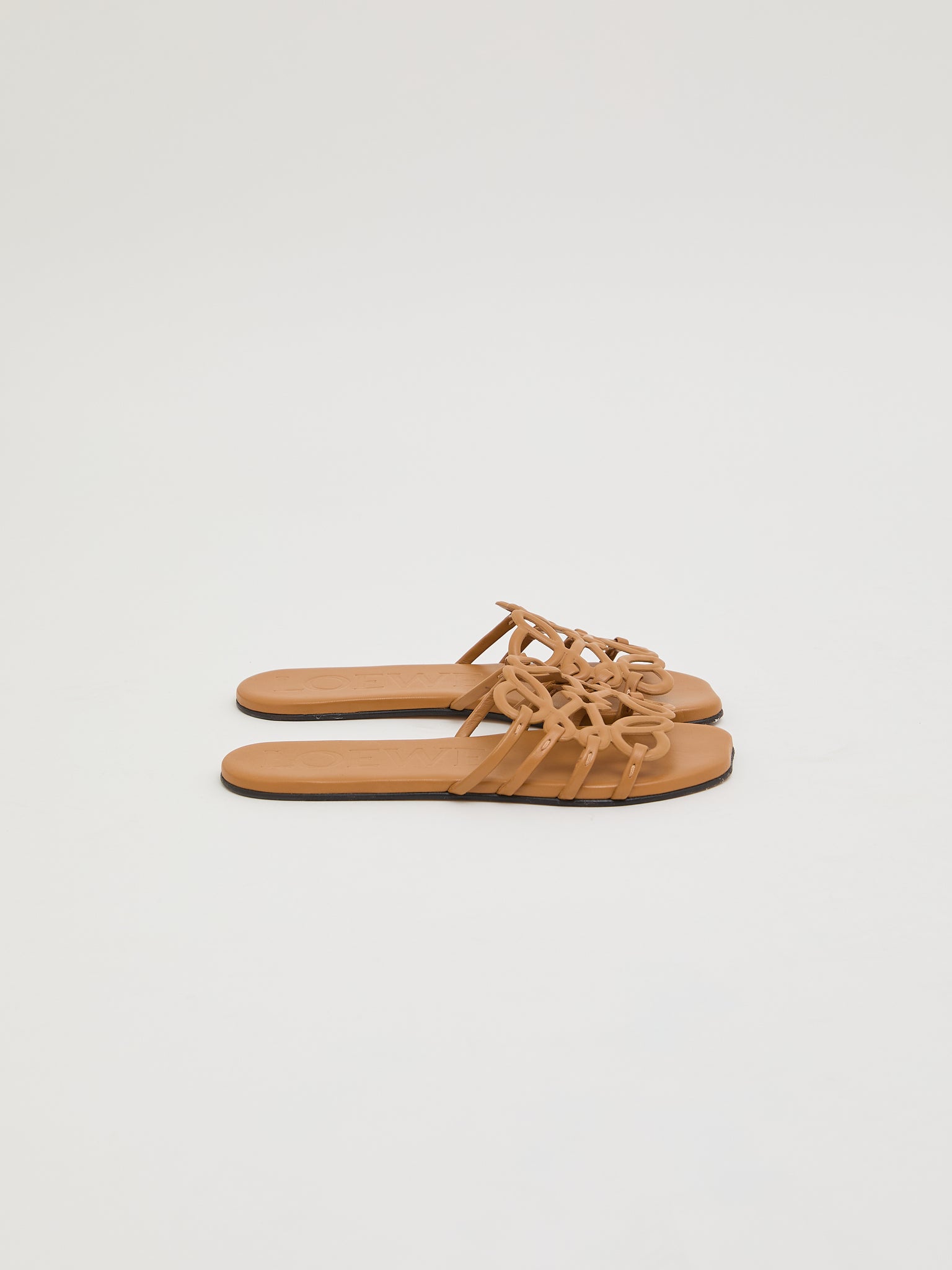 Loewe